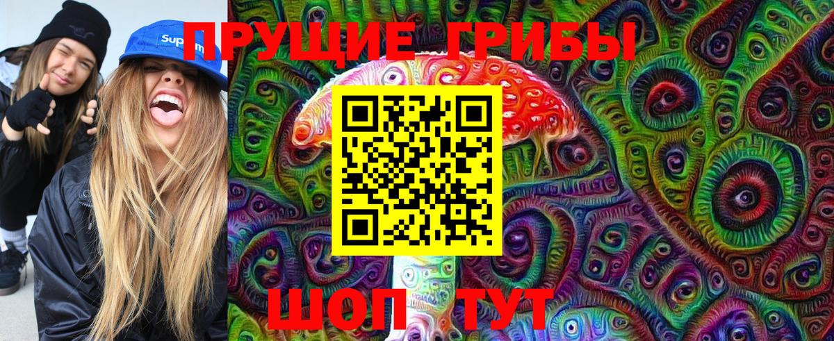 Псилоцибиновые грибы Psilocybine cubensis Нефтекумск