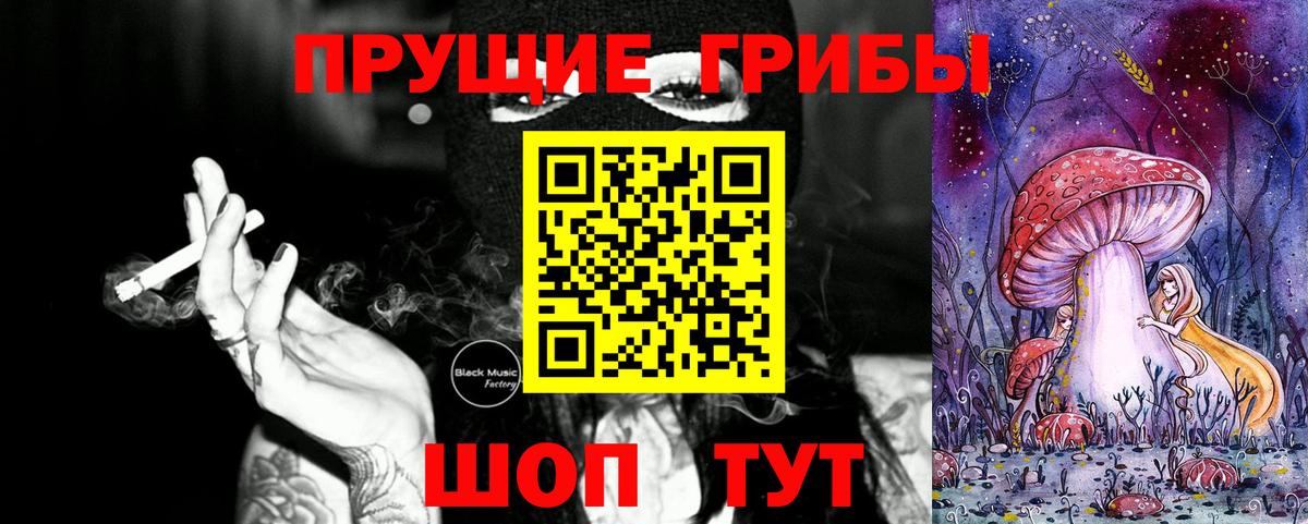 Нефтекумск  Псилоцибиновые грибы Cubensis  Вход с VPN 
